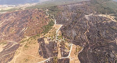 Bir ayda iki kez yangının arasında kalan köy dronla görüntülendi