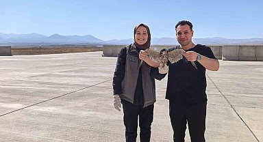 Bitkin halde bulunan yaralı Delice Doğan tedavi altına alındı