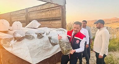 Bitlis'te Aygır ve Nazik göllerine 3 milyon 895 bin sazan balığı yavrusu bırakıldı