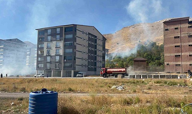 Bitlis'te çıkan yangın ağaçlara zarar verdi