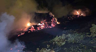 Bitlis'te çıkan yangında ot yığınları kül oldu