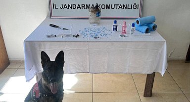 Bitlis'te jandarmadan uyuşturucu operasyonu