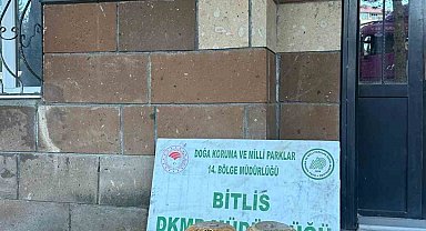 Bitlis'te kaçak keklik avına 101 bin 710 lira para cezası