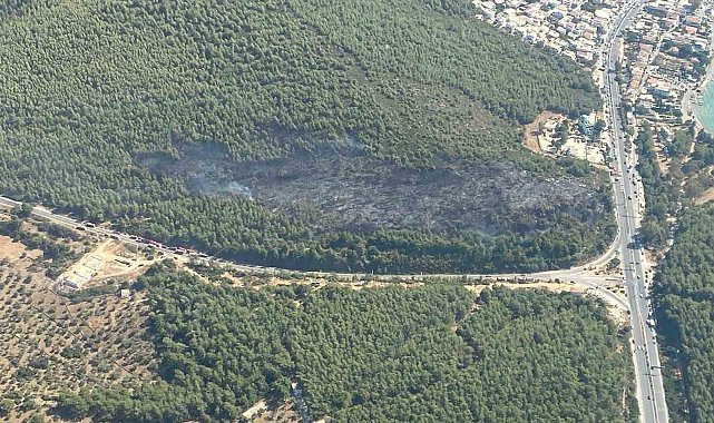 Bodrum orman yangını kontrol altına alındı