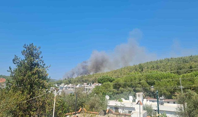 Bodrum'da orman yangını başladı