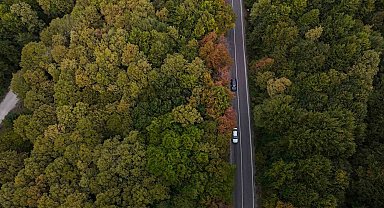 Bolu-Seben yolunda muhteşem sonbahar güzelliği