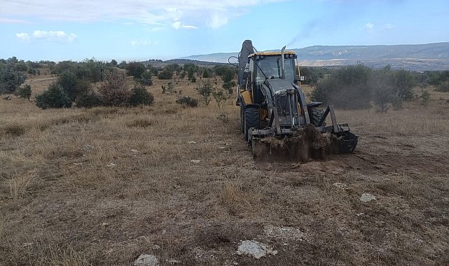Bolu'da 150 hektarlık merada ıslah çalışması başladı