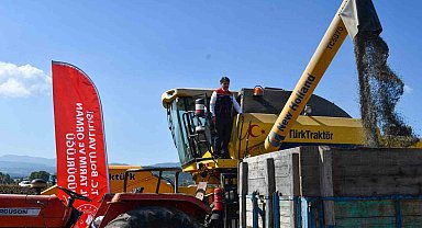 Bolu'da 23 bin 500 dekarda ayçiçek hasadı başladı