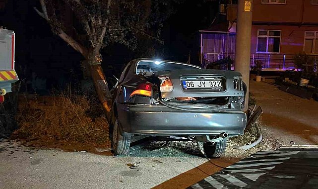 Bolu'da alkollü sürücü ağaca çarptı: 2 yaralı