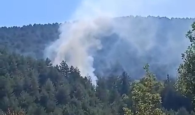 Bolu'da çıkan orman yangını kısa sürede söndürüldü