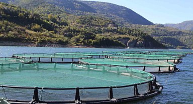 Borçka Barajı Türk Somonu üretiminde ihracat üssü oluyor