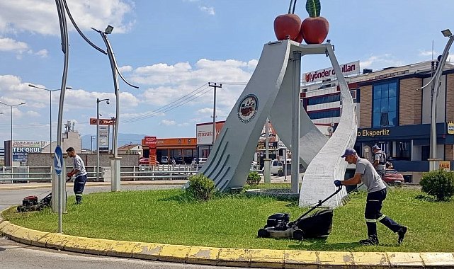 Budanan ot ve ağaç dalları mantar üretiminde kullanılıyor