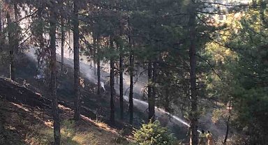 Buldan'daki orman yangını kontrol altına alındı