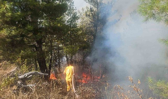 Buldan'daki orman yangınına havadan müdahale başladı