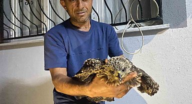 Bulduğu şahine ciğer dürüm söyledi