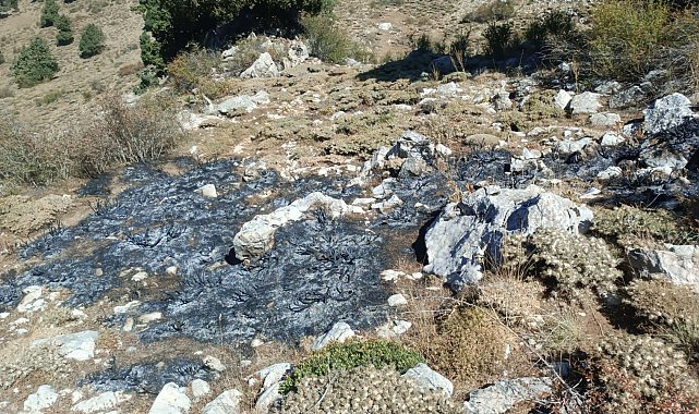 Burdur'da çalılık alanda yangın