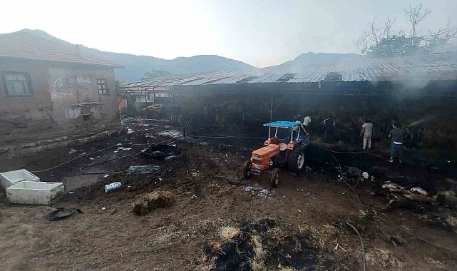 Burdur'da çıkan yangında 2 bin 500 saman balyası kül oldu