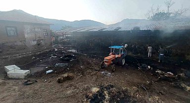 Burdur'da çıkan yangında 2 bin 500 saman balyası kül oldu