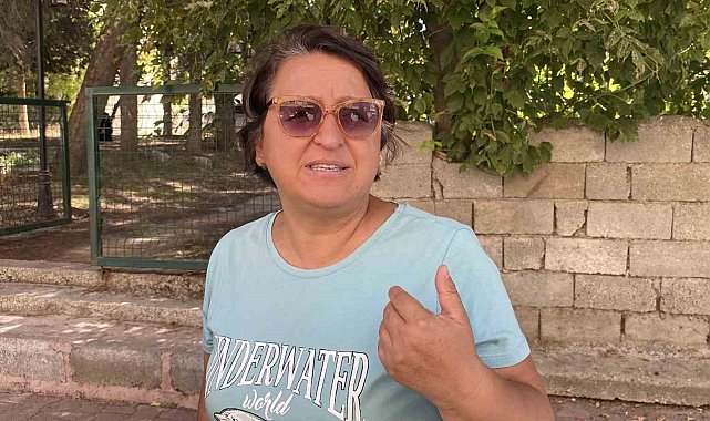Burdur'da sokak köpeklerinin saldırdığı kadın yaralandı