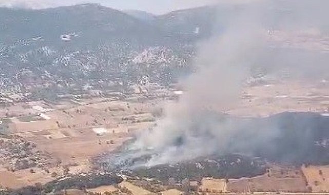 Burdur'da tarlada çıkan yangın ormanlık alana sıçradı