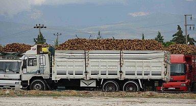 Burdur'da yaklaşık 700 bin ton şeker pancarı işlenecek