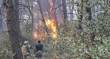 Bursa Büyükşehir'den Gündoğdu yangını seferberliği
