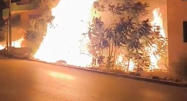 Bursa'da alev alan ağaçlar villaları böyle tehdit etti