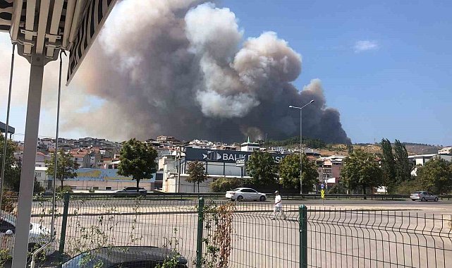 Bursa'da orman yangını