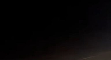 Bursa'da yola atlayan domuz sürüsü telef oldu