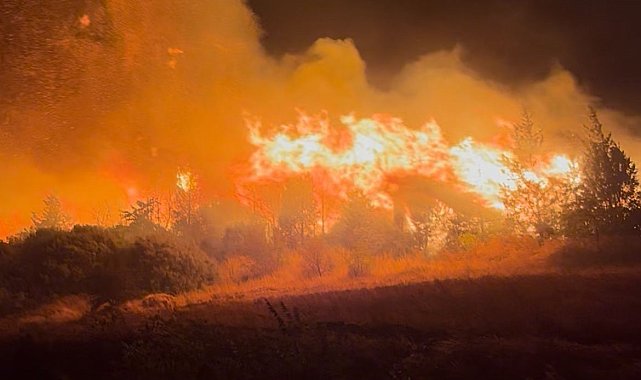 Bursa'daki orman yangını Akçasusurluk köyüne yaklaştı, yerleşim alanları boşaltıldı