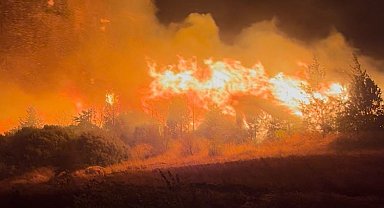 Bursa'daki orman yangını Akçasusurluk köyüne yaklaştı, yerleşim alanları boşaltıldı