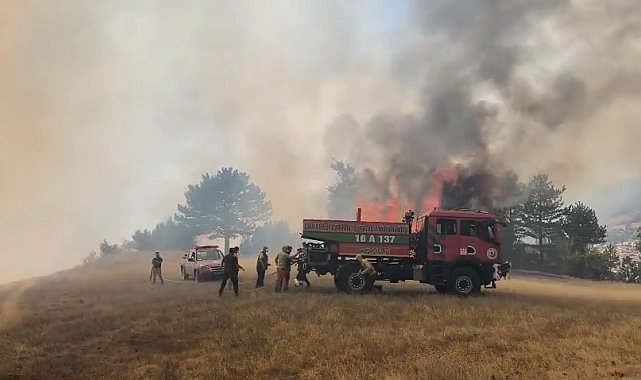 Bursa'daki orman yangını kontrol altına alındı