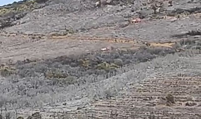 Bursa'daki orman yangını söndürüldü