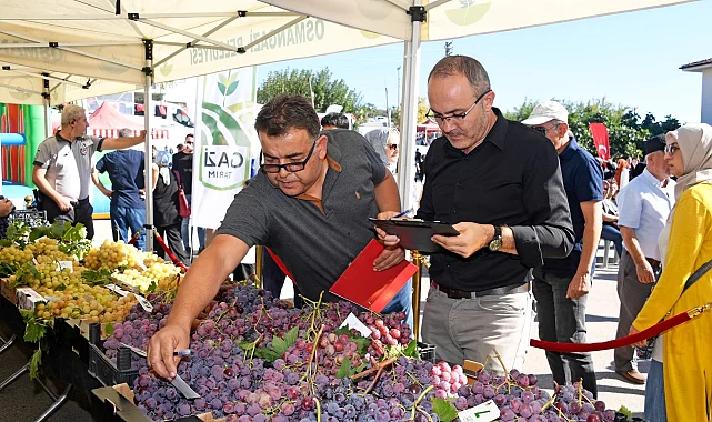 Bursa'da en kaliteli üzümler Osmangazi'de yarıştı