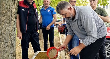 Bursa'nın su kaynaklarına 2,2 milyon sazan balığı bırakılacak