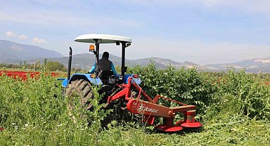 Büyükşehir'den üreticilere ücretsiz yem bitkisi tohumu desteği