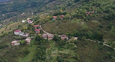 Çamaş'ta 4 mahalleye hitap eden grup yolu asfaltla buluştu