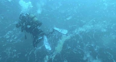 Çanakkale'de müsilaj alarmı