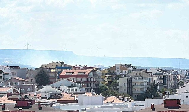 Çanakkale'de orman yangını: 2 okul tahliye edildi