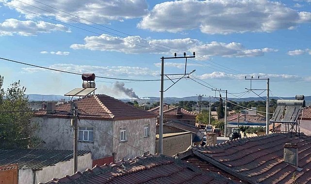 Çanakkale'de orman yangını çıktı