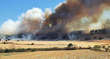 Çanakkale'de orman yangını