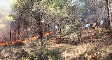 Çanakkale'de ormanlık alanda çıkan yangın kontrol altına alındı