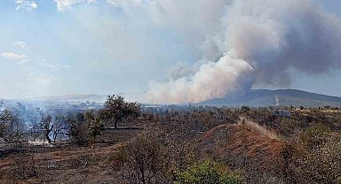 Çanakkale'de tarım arazisinde başlayan yangın ormanlık alana sıçradı