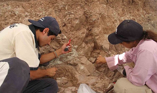Çankırı'daki kazılarla 9 milyon yıl öncesine ait fosiller gün yüzüne çıkartılıyor