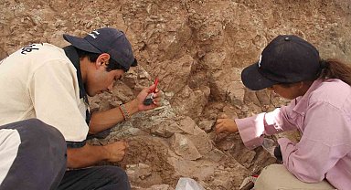 Çankırı'daki kazılarla 9 milyon yıl öncesine ait fosiller gün yüzüne çıkartılıyor