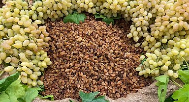 Çekirdeksiz ihracatta Türkiye 'en'leri yaşadı