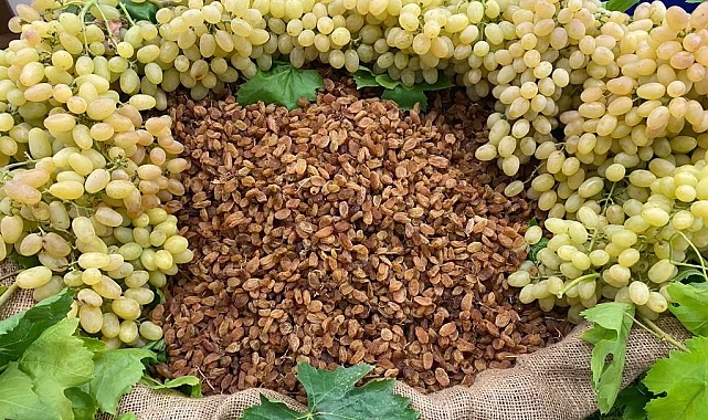 Çekirdeksiz ihracatta Türkiye 'en'leri yaşadı