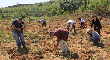 ÇEKÜL'den 'acele etmeyin' uyarısı! Yanan bölgelerde fidan dikimi için acele edilmemeli!