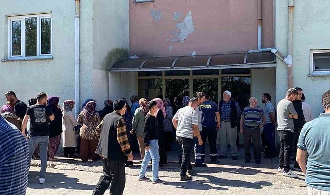 Ceviz toplarken elektrik akımına kapılarak hayatını kaybetti