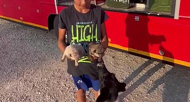 Çocuklar ihbar etti, atık su borusuna sıkışan yavru köpekler kurtarıldı